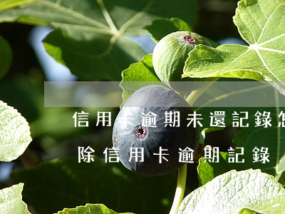 信用卡逾期未還記錄怎么消除(有什么辦法消除信用卡逾期記錄)