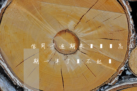 信用卡逾期未還訴訟怎么辦(為什么信用卡逾期一年了,還不起訴)