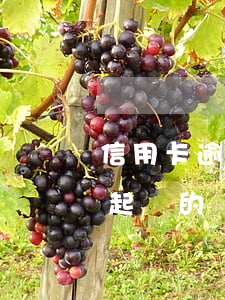 信用卡逾期未還起訴嗎(有沒有信用卡逾期被起訴的)