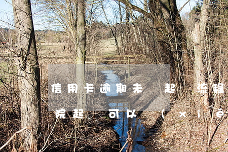 信用卡逾期未還起訴流程(信用卡逾期沒還,法院起訴可以協(xié)商處理嗎)