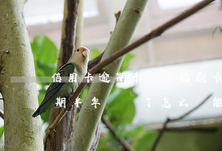 信用卡逾期未還還能刷卡么(為什么信用卡逾期半年錢還了怎么還能用)