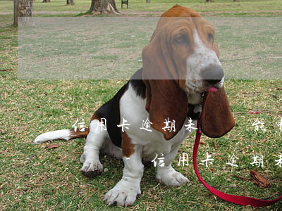 信用卡逾期未還還能申請(qǐng)裝修貸嗎-信用卡逾期未還還能申請(qǐng)裝修貸嗎知乎