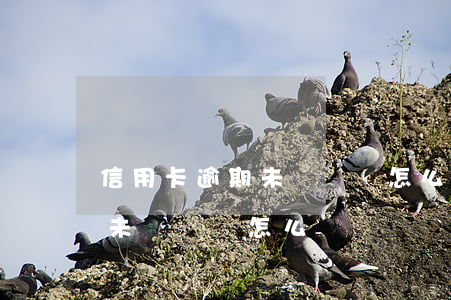 信用卡逾期未還銷戶怎么還錢呢（信用卡逾期未還銷戶怎么還錢）