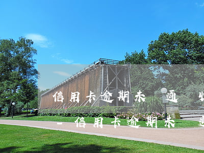 信用卡逾期未開通還收取年費(fèi)嗎-信用卡逾期未開通還收取年費(fèi)嗎怎么辦