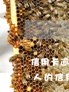 信用卡逾期本人會(huì)接到通知嗎(別人的信用卡逾期為什么信息發(fā)我這里)