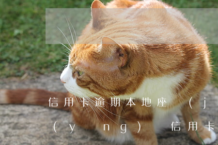 信用卡逾期本地座機(jī)催收(怎么樣應(yīng)對信用卡逾期催收電話?)