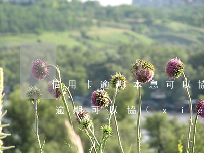 信用卡逾期本息可以協(xié)商減免嗎 逾期可以協(xié)商減免利息嗎
