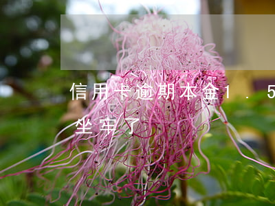 信用卡逾期本金1.5萬(信用卡逾期1萬5坐牢了)