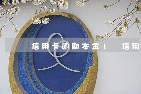 信用卡逾期本金1萬(信用卡逾期本金1萬元)