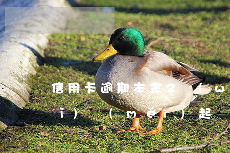 信用卡逾期本金2萬(wàn)4會(huì)沒(méi)起訴直接報(bào)案嗎（信用卡逾期本金2萬(wàn)）