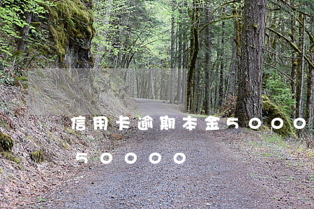 信用卡逾期本金50000(信用卡逾期本金50000)