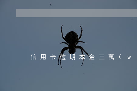 信用卡逾期本金三萬(wàn)
