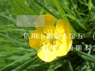 信用卡逾期本金五萬(wàn)包含備用金嗎-信用卡逾期本金五萬(wàn)包含備用金嗎