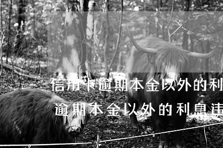 信用卡逾期本金以外的利息违约金-信用卡逾期本金以外的利息违约金怎么算