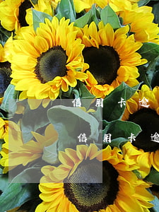 信用卡逾期本金協(xié)商少還(有沒有信用卡逾期協(xié)商還本金成功了的)