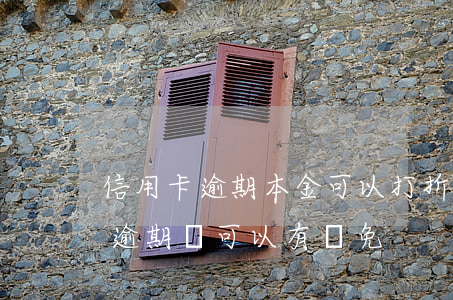 信用卡逾期本金可以打折嗎-為什么信用卡逾期還可以有減免