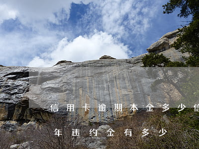 信用卡逾期本金多少(信用卡8000逾期一年违约金有多少)