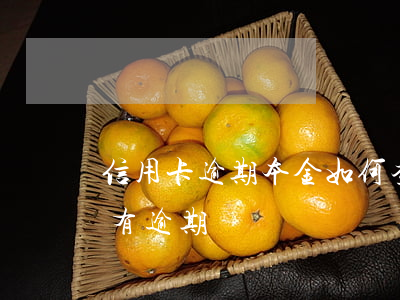 信用卡逾期本金如何查詢 怎么查信用卡有沒有逾期
