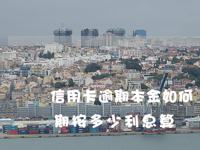 信用卡逾期本金如何計(jì)算(信用卡逾期按多少利息算)