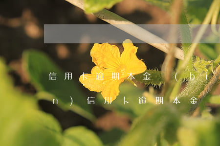 信用卡逾期本金標(biāo)準(zhǔn) 信用卡逾期本金標(biāo)準(zhǔn)是多少