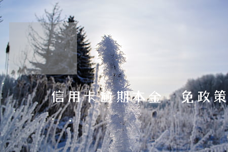 信用卡逾期本金減免政策最新