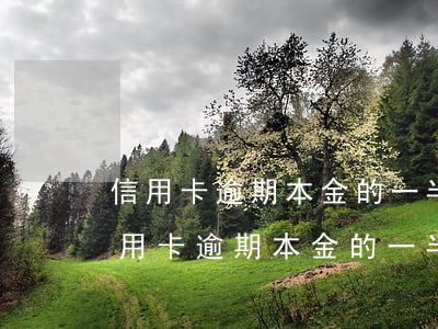 信用卡逾期本金的一半結(jié)清-信用卡逾期本金的一半結(jié)清