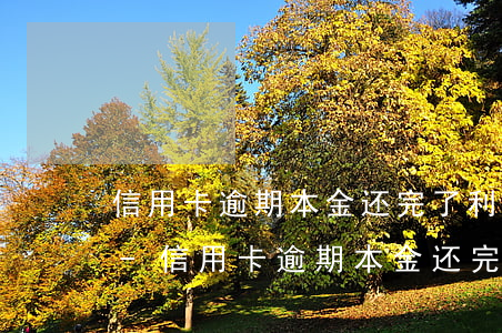 信用卡逾期本金还完了利息银行还会起诉吗-信用卡逾期本金还完了利息银行还会起诉吗
