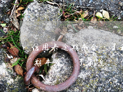 信用卡逾期本金還了利息沒還款-信用卡逾期本金還了利息沒還款怎么辦