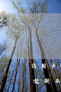 信用卡逾期本金還了還可以還款嗎-信用卡逾期本金還了還可以還款嗎