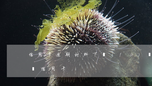 信用卡逾期材料下發(fā)當地 逾期后申請信用卡