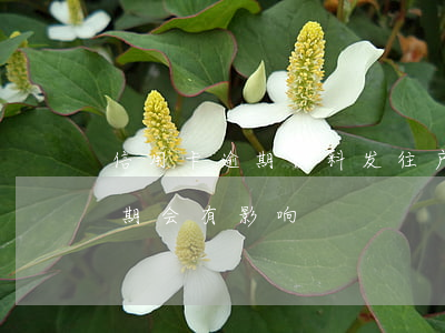 信用卡逾期材料发往户籍地(迁户口信用卡逾期会有影响)