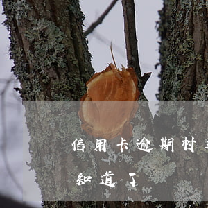 信用卡逾期村委一封信(信用卡逾期我全村都知道了)