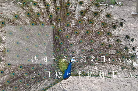 信用卡逾期村委會(huì)上門(mén)嗎(信用卡逾期會(huì)貼到村委會(huì)門(mén)口嗎)