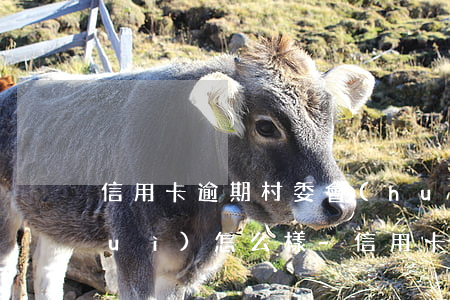 信用卡逾期村委會(huì)找上門會(huì)怎么樣-信用卡逾期村委會(huì)找上門會(huì)怎么樣嗎