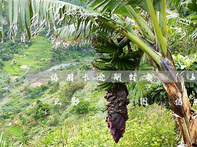 信用卡逾期村委會(huì)貧困證明有什么影響-貧困戶信用卡逾期