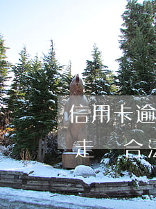 信用卡逾期村委走訪合法嗎(信用卡逾期村委走訪合法嗎)