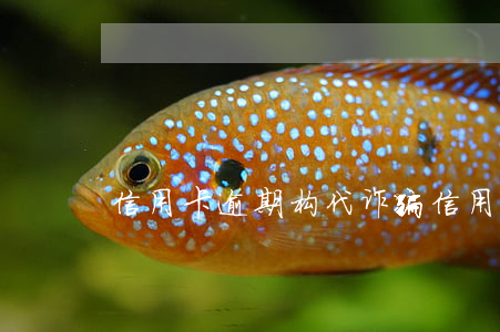 信用卡逾期构代诈骗(信用卡逾期构代诈骗)