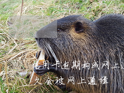 信用卡逾期构成网上追逃吗(欠信用卡逾期多久会被网上通缉)