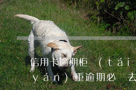 信用卡逾期柜臺(tái)還款(信用卡嚴(yán)重逾期必須去柜臺(tái)還)