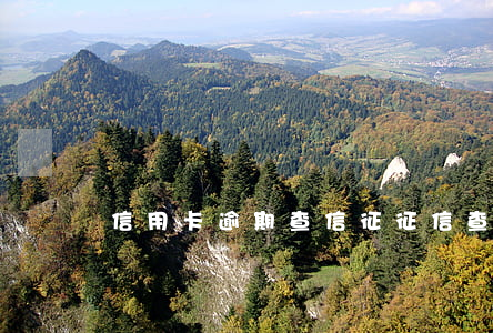 信用卡逾期查信征(征信查詢逾期)