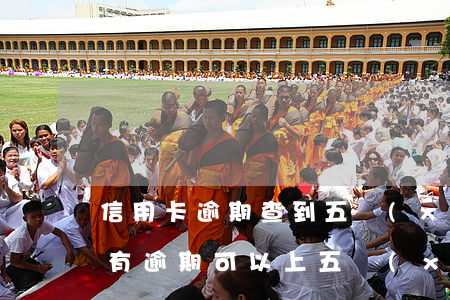 信用卡逾期查到五險(xiǎn)一金 征信有逾期可以上五險(xiǎn)一金嗎