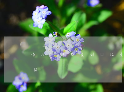 信用卡逾期查到單位(查自己信用卡有沒有逾期)