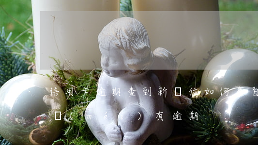信用卡逾期查到新單位(如何查自己信用卡有沒(méi)有逾期)