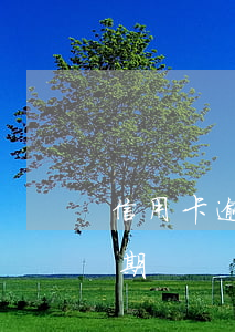 信用卡逾期查名下的儲蓄卡(查信用卡是否逾期)