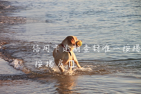 信用卡逾期查封唯一按揭房(欠信用卡會查封按揭房嗎)
