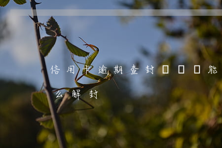 信用卡逾期查封車輛還能開嗎(逾期查封車怎么解封)