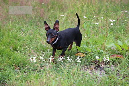 信用卡逾期查幾年的