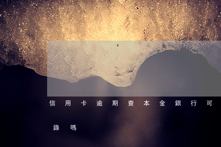 信用卡逾期查本金(銀行可以查信用卡逾期記錄嗎)