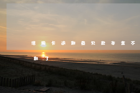 信用卡逾期查欠款本金 不知道哪張信用卡逾期了