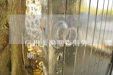 信用卡逾期查海外賬戶(哪里可以查信用卡逾期記錄)